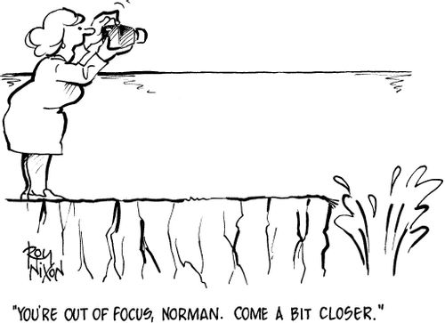 'You're out of focus, Norman. Come a bit closer.'