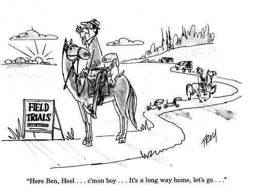 'Here Ben, heel...c'mon boy...it's a long way home, let's go...'