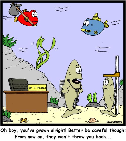 'Oh boy, you've grown alright! Better be careful though: From now on, they won't throw you back...'