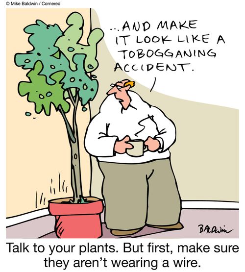 Talk to your plants. But first, make sure they aren't wearing a wire: "...And make it look like a tobogganing accident."