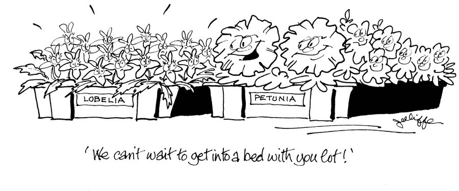'We can't wait to get into a bed with you lot!'