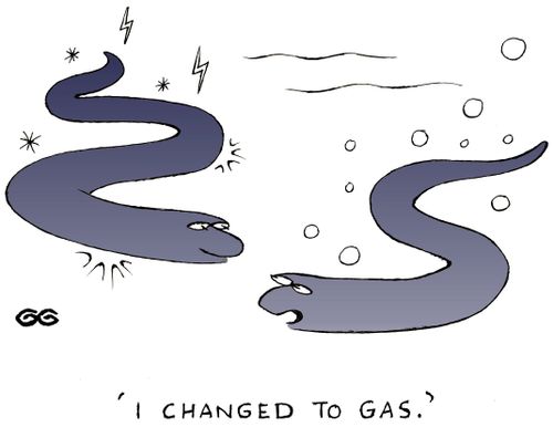 "I changed to gas." ( Electric eel producing bubbles) 