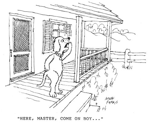 'Here, master, come on boy.'
