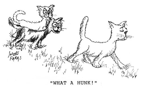 'What a hunk!'