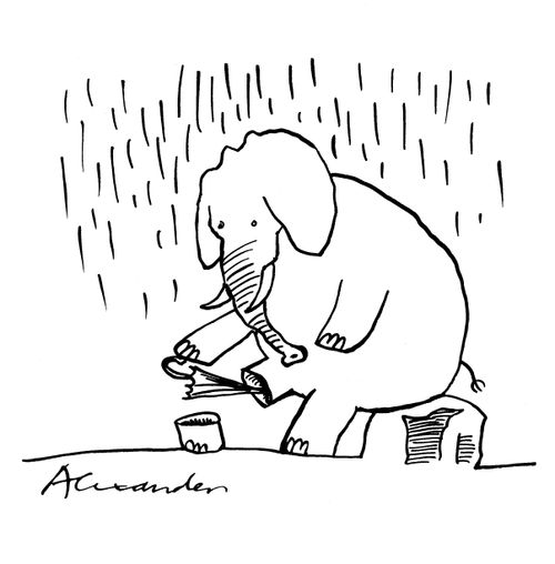 Elephant umbrella.