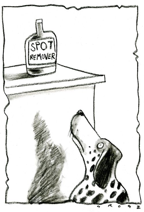 Spot Remover.