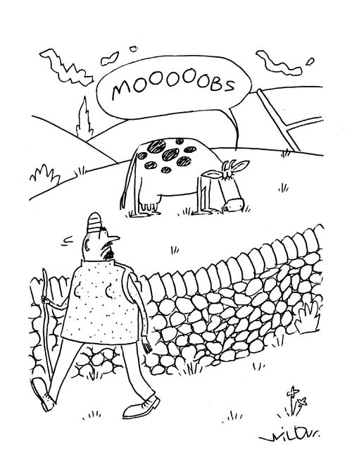 'Mooobs'