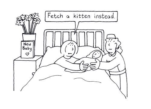 "Fetch a kitten instead."