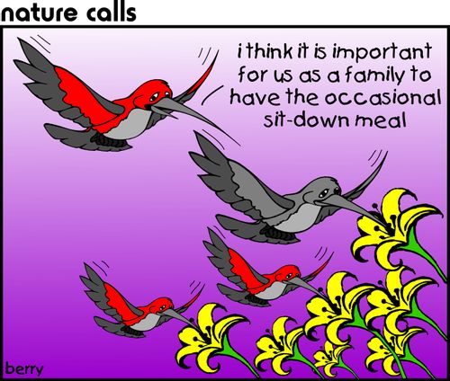 "I think it is important for us as a family to have the occasional sit-down meal."