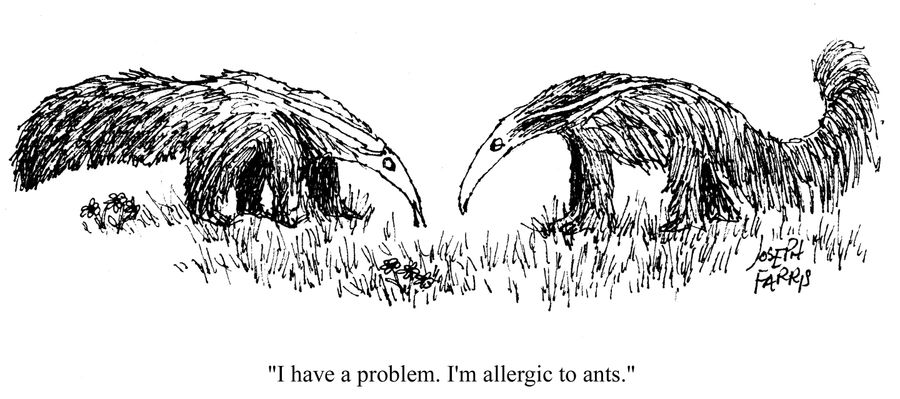 'I have a problem. I'm allergic to ants.'