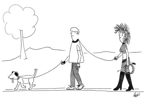 Walk the dog.