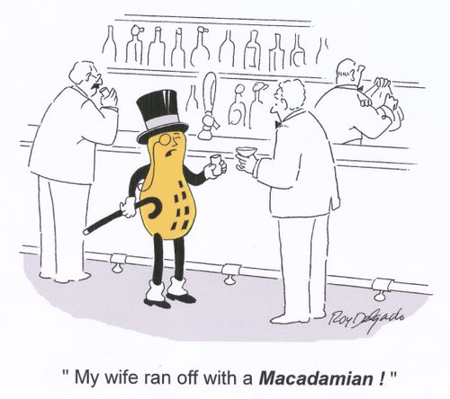 'My wife ran off with a Macadamian!'