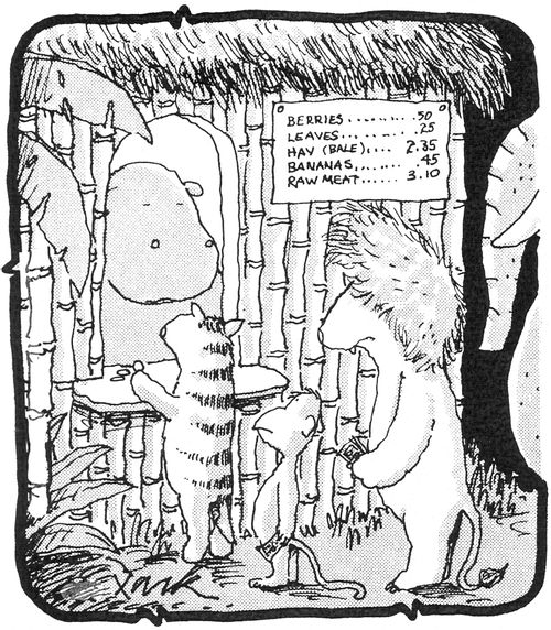 Jungle Stores.
