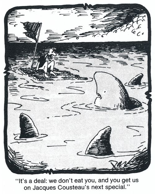 'It's a deal: we don't eat you, and you get us on Jacques Cousteau's next special.'