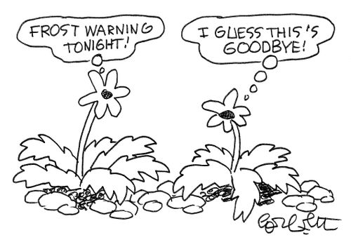 Flower:  'Frost warning tonight'  Second Flower: 'I guess this is goodbye'.