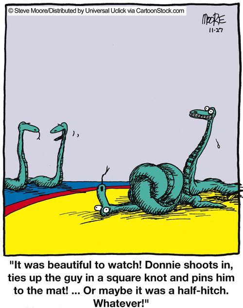 'It was beautiful to watch! Donnie shoots in, ties up the guy in a square knot and pins him to the mat! ... Or maybe it was a half-hitch. Whatever!'