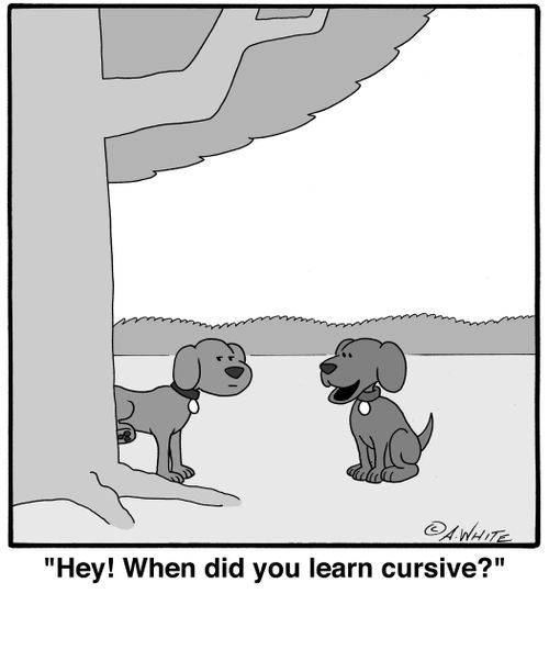 'Hey! When did you learn cursive?'
