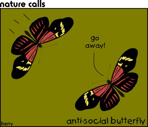 Anti-social butterfly.