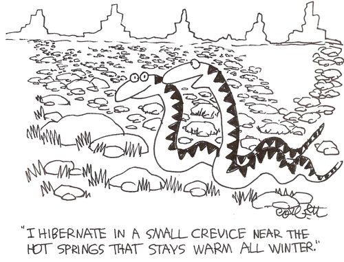 'I hibernate in a small crevice near the hot springs that stays warm all winter.'