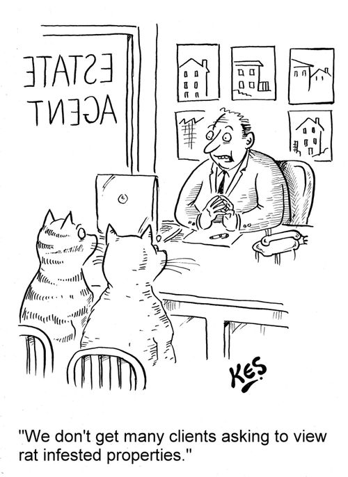 'We don't get many clients asking to view rat infested properties.'
