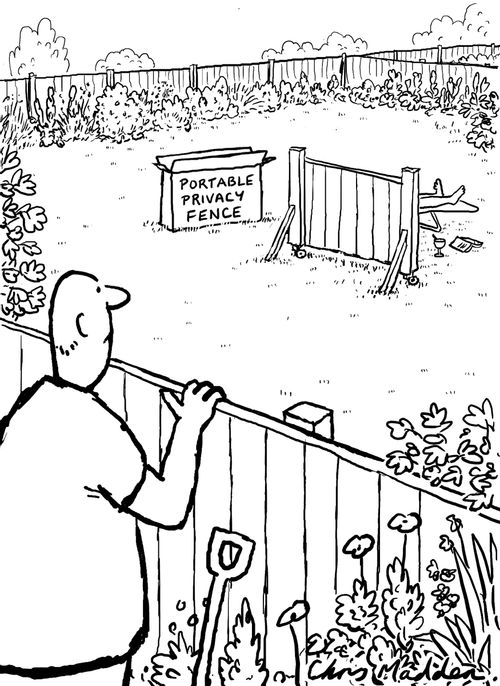 Privacy in the garden.