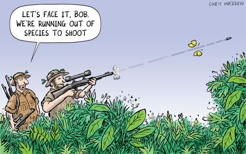 Hunters who have run out of species to hunt, shooting a butterfly