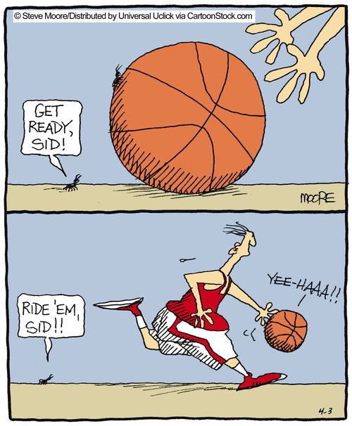 Basketball is a rollercoaster ride for insects.