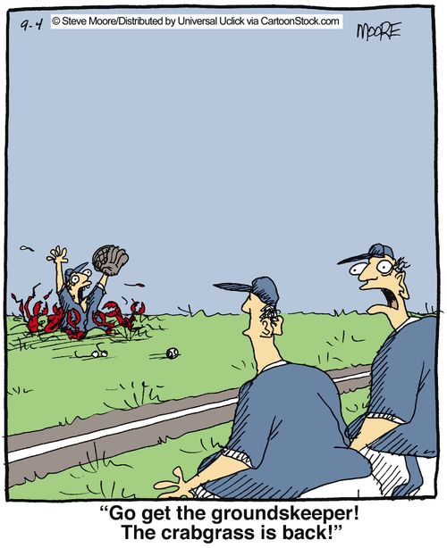 'Go get the groundskeeper! The crabgrass is back!'