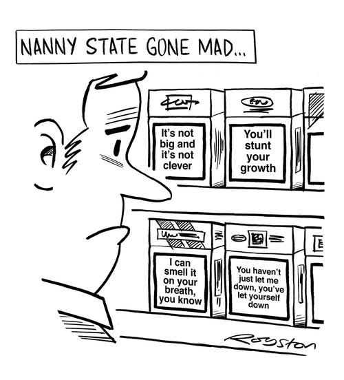 Nanny state gone mad: 'It's not big and it's not clever.'