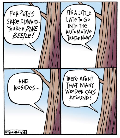 'For Pete's sake, Edward - You're a PINE BEETLE. It's a little late to go into the automotive trade now!...'