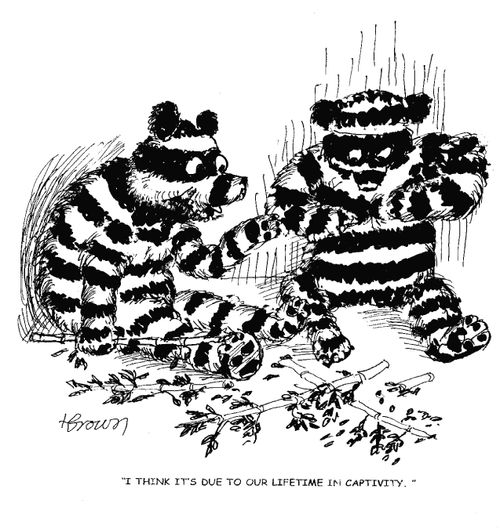 'I think it's due to our lifetime in captivity.'