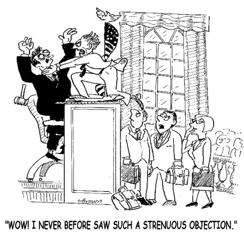 'Wow! I never before saw such a strenuous objection.'