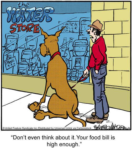'Don't even think about it. Your food bill is high enough.'