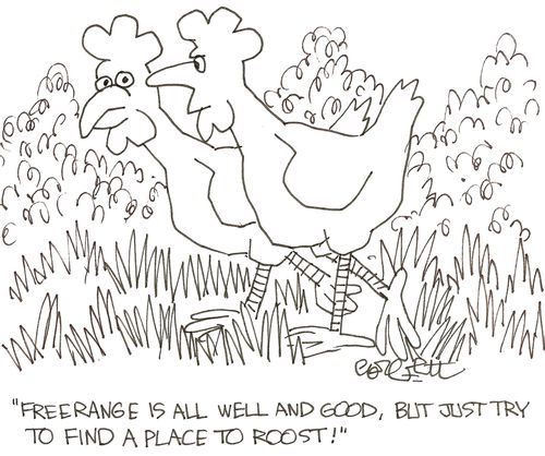 'Freerange is all well and good, but just try to find a place to roost!'