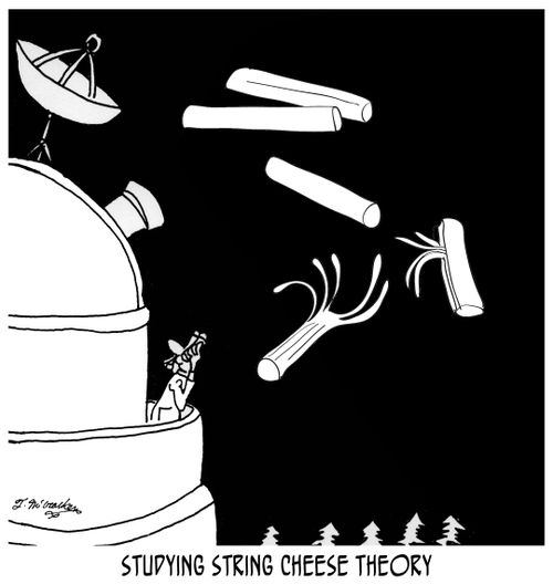 Studying String Cheese Theory