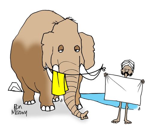 Mahout and his elephant on wash day.