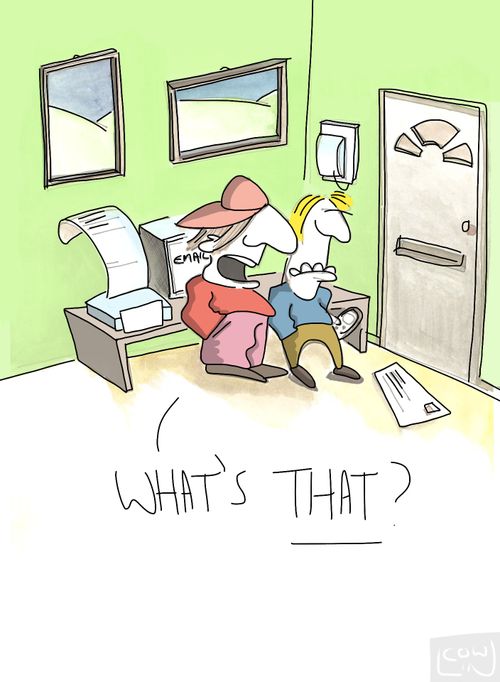 'What's that?'