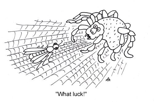 'What luck!'