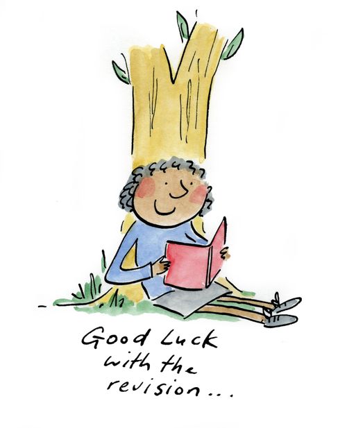 Good luck with all the revision...