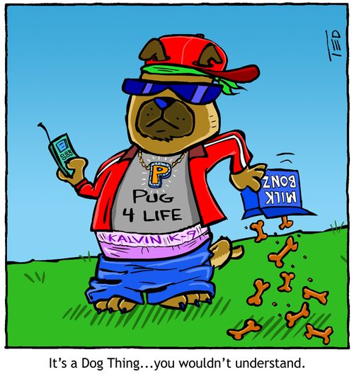 Pug 4 Life: 'It's a Dog Thing ... you wouldn't understand.'