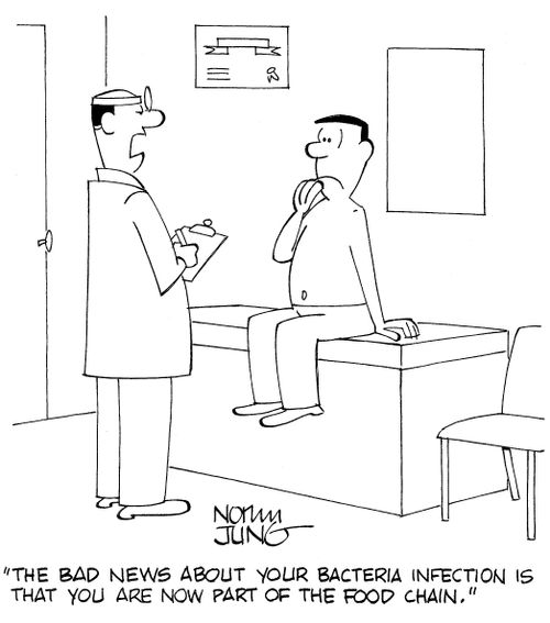 'The bad news about your bacteria infection is that you are now part of the food chain.'