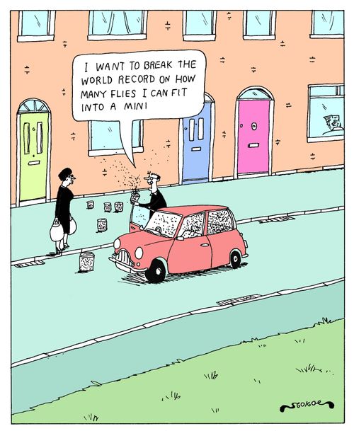 'I want to break the world record on how many flies I can fit into a Mini.'