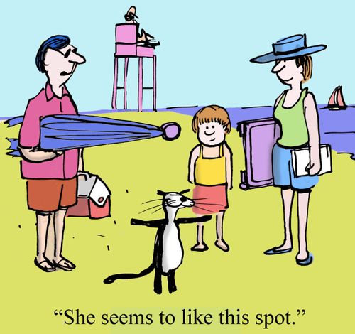 'She seems to like this spot.'