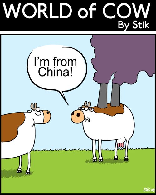 'I'm from China!'