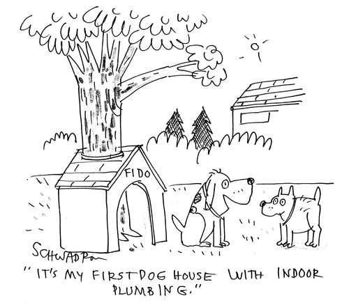 'It's my first dog house with indoor plumbing.'