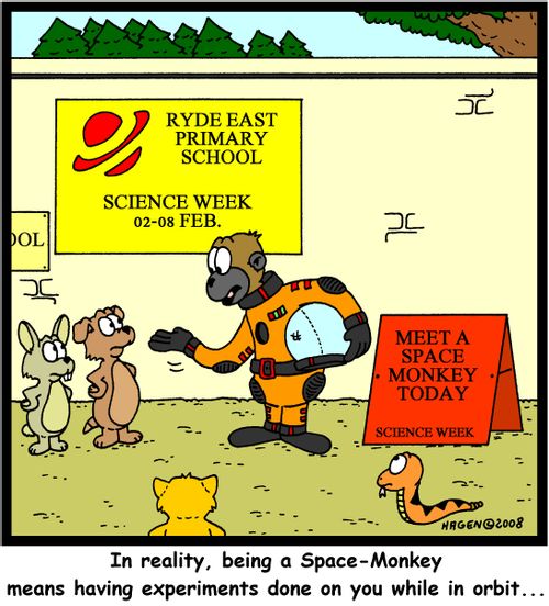 'In reality, being a Space-Monkey means having experiments done on you while in orbit...'