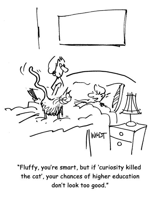 Fluffy, you're smart, but if 'curiosity killed the cat', your chances of higher education don't look too good.