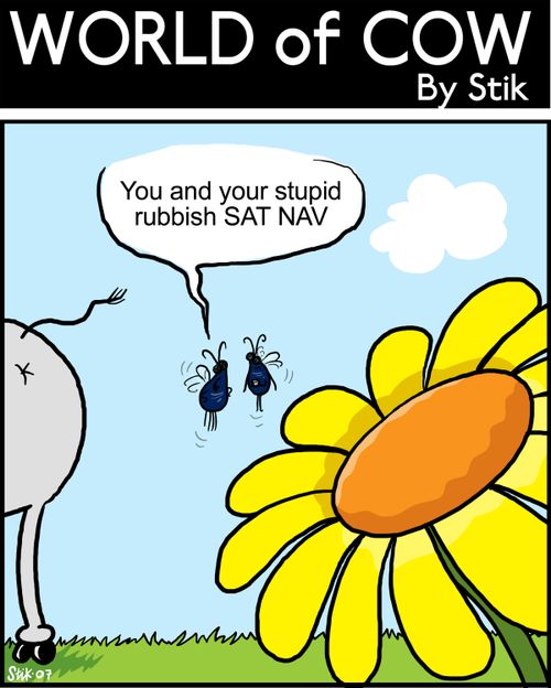 Two flies at a flower.'You and your stupid rubbish SAT NAV!'