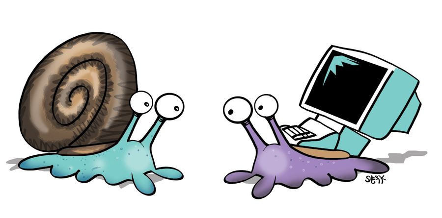 Snail with pc monitor.