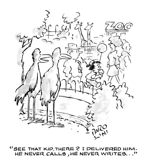 'See that kid, there? I delivered him. He never calls, he never writes...'